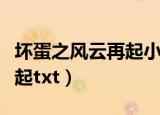 坏蛋之风云再起小说在线阅读（坏蛋之风云再起txt）
