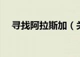 寻找阿拉斯加（关于寻找阿拉斯加介绍）