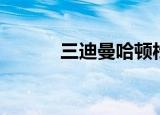三迪曼哈顿松江（三迪曼哈顿）