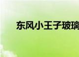 东风小王子玻璃钢车身（东风小王子）