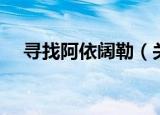寻找阿依阔勒（关于寻找阿依阔勒介绍）