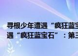 寻根少年遭遇“疯狂蓝宝石”：第三只手（关于寻根少年遭遇“疯狂蓝宝石”：第三只手介绍）