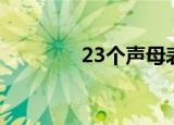 23个声母表（23个声母表）