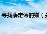 寻找薛定谔的猫（关于寻找薛定谔的猫介绍）