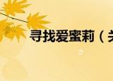 寻找爱蜜莉（关于寻找爱蜜莉介绍）
