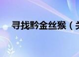 寻找黔金丝猴（关于寻找黔金丝猴介绍）