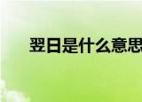 翌日是什么意思啊（翌日是什么意思）