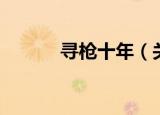 寻枪十年（关于寻枪十年介绍）