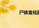 尸体变化图鉴（尸体防腐）