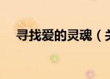 寻找爱的灵魂（关于寻找爱的灵魂介绍）
