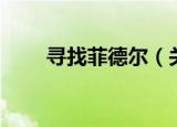 寻找菲德尔（关于寻找菲德尔介绍）