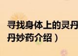 寻找身体上的灵丹妙药（关于寻找身体上的灵丹妙药介绍）
