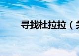 寻找杜拉拉（关于寻找杜拉拉介绍）