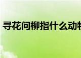 寻花问柳指什么动物（寻花问柳指什么生肖）