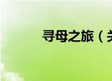 寻母之旅（关于寻母之旅介绍）