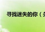 寻找迷失的你（关于寻找迷失的你介绍）