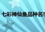 七彩神仙鱼品种名字大全（七彩神仙鱼论坛）