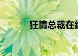 狂情总裁在线阅读（狂情总裁）