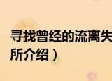 寻找曾经的流离失所（关于寻找曾经的流离失所介绍）