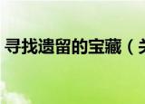 寻找遗留的宝藏（关于寻找遗留的宝藏介绍）