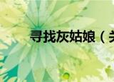寻找灰姑娘（关于寻找灰姑娘介绍）