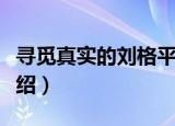 寻觅真实的刘格平（关于寻觅真实的刘格平介绍）