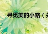 寻觅美的小路（关于寻觅美的小路介绍）