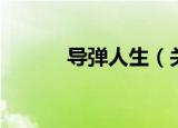 导弹人生（关于导弹人生介绍）