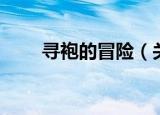 寻袍的冒险（关于寻袍的冒险介绍）