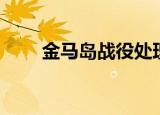 金马岛战役处理结果（金马岛战役）