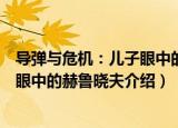 导弹与危机：儿子眼中的赫鲁晓夫（关于导弹与危机：儿子眼中的赫鲁晓夫介绍）