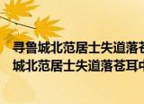 寻鲁城北范居士失道落苍耳中见范置酒摘苍耳作（关于寻鲁城北范居士失道落苍耳中见范置酒摘苍耳作介绍）