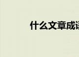 什么文章成语（什么文什么生）