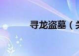 寻龙盗墓（关于寻龙盗墓介绍）