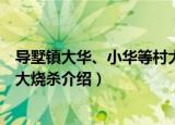 导墅镇大华、小华等村大烧杀（关于导墅镇大华、小华等村大烧杀介绍）