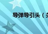 导弹导引头（关于导弹导引头介绍）