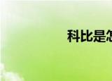 科比是怎么烧起来的？