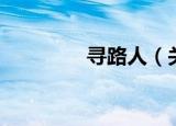 寻路人（关于寻路人介绍）