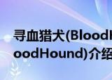 寻血猎犬(BloodHound)（关于寻血猎犬(BloodHound)介绍）