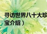 寻访世界八十大珍宝（关于寻访世界八十大珍宝介绍）