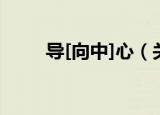 导[向中]心（关于导[向中]心介绍）