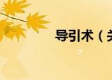导引术（关于导引术介绍）