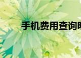 手机费用查询明细（手机费用查询）