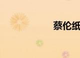 蔡伦纸业（蔡伦路）