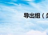 导出组（关于导出组介绍）