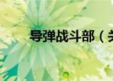 导弹战斗部（关于导弹战斗部介绍）