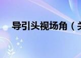 导引头视场角（关于导引头视场角介绍）