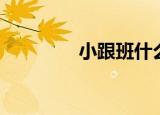 小跟班什么意思（小跟班）