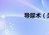 导尿术（关于导尿术介绍）