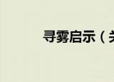 寻雾启示（关于寻雾启示介绍）